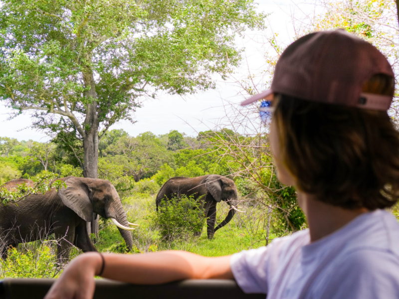 paquete viaje grupal sudafrica
